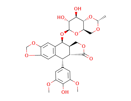etoposide